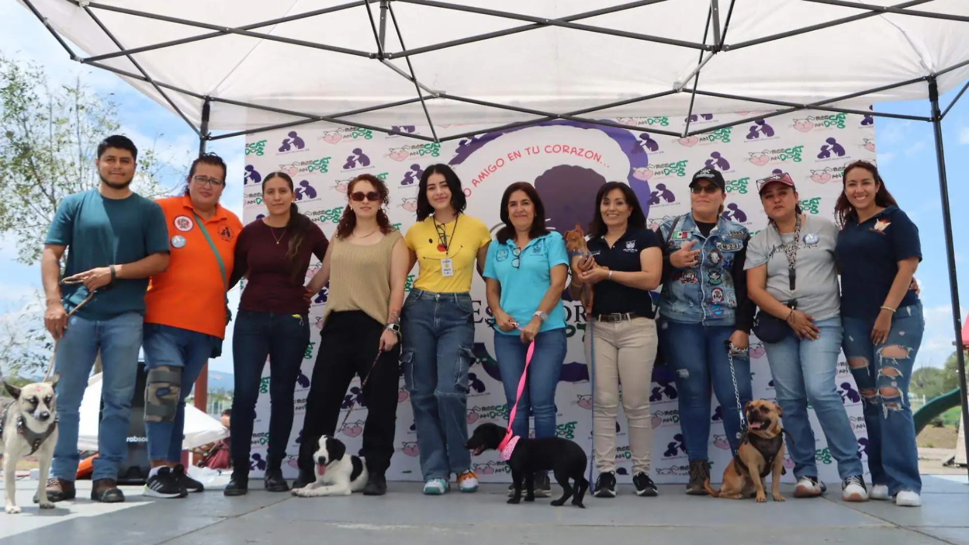 Todos reunidos por una causa perruna